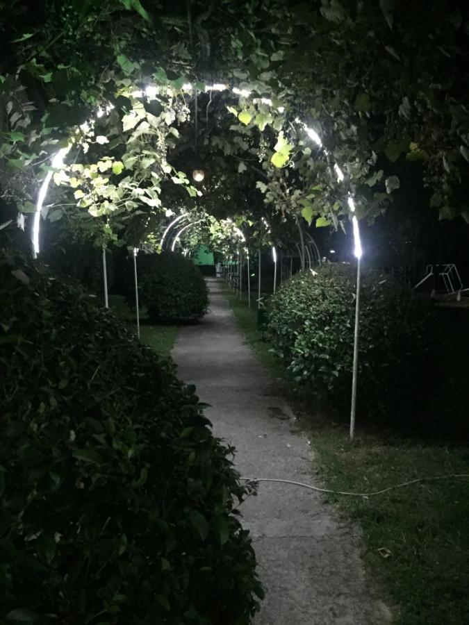 Baza Otdyha Miya Hotel Gudauta Bagian luar foto