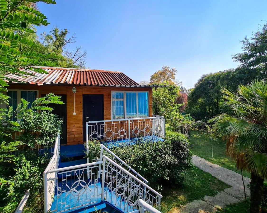 Baza Otdyha Miya Hotel Gudauta Bagian luar foto