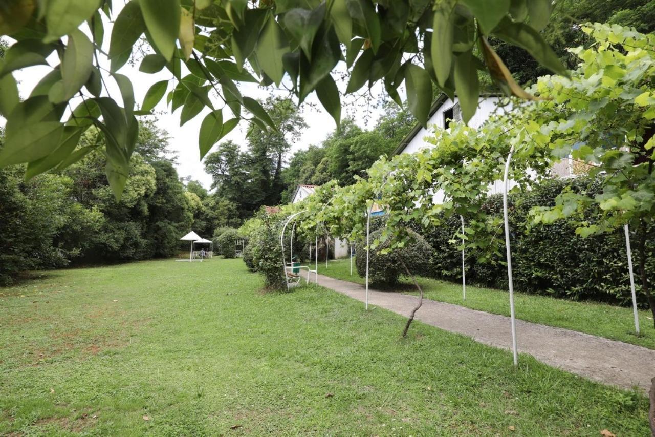 Baza Otdyha Miya Hotel Gudauta Bagian luar foto