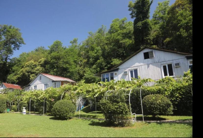 Baza Otdyha Miya Hotel Gudauta Bagian luar foto